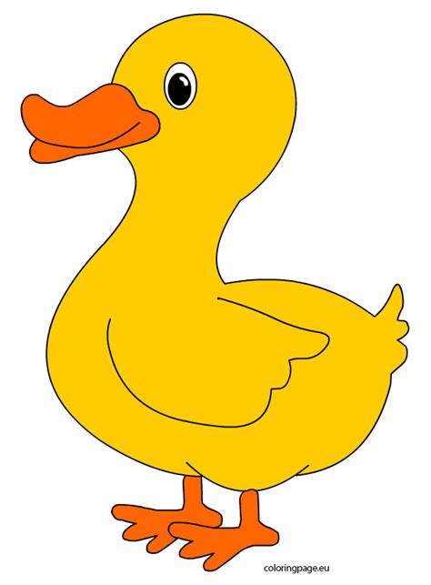 Yellow Duck Template
